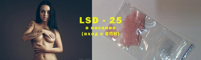эйфоретик Абинск