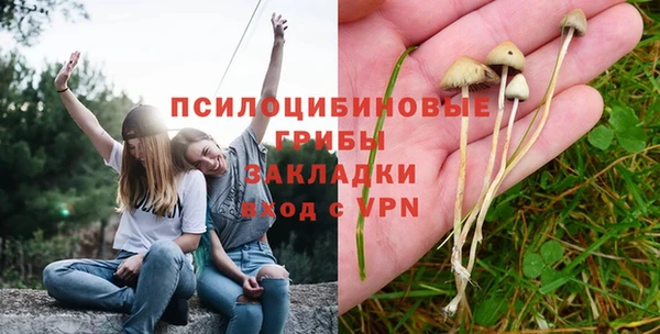 соль ск Абаза