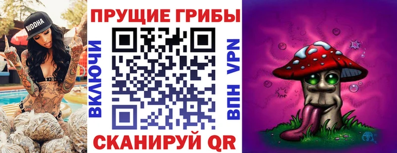 kraken сайт  наркошоп  Мурино  Псилоцибиновые грибы GOLDEN TEACHER 